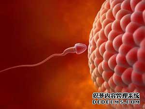 男性患有无精子症在饮食上要注意什么？