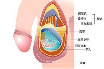 邯郸燕赵中医医院