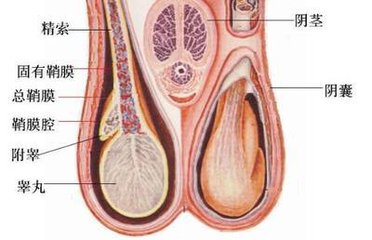 邯郸燕赵中医医院