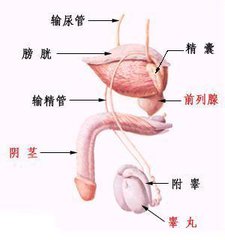 邯郸燕赵中医医院