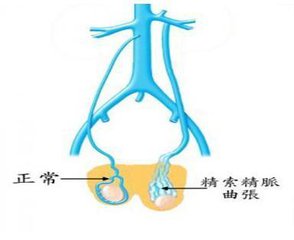 邯郸燕赵中医医院