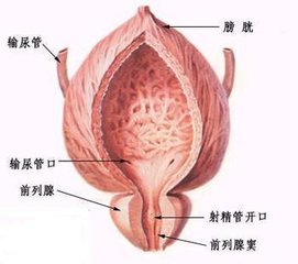 邯郸燕赵中医医院