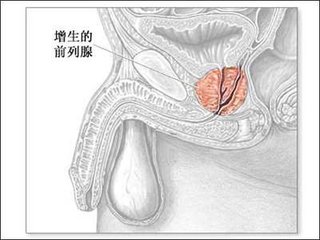 邯郸燕赵中医医院