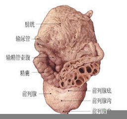 邯郸燕赵中医医院