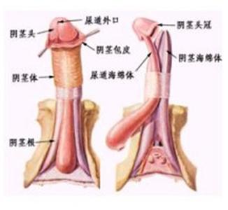 邯郸燕赵中医医院