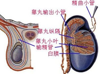 邯郸燕赵中医医院