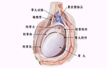 邯郸燕赵中医医院