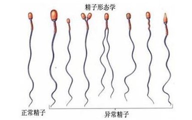 邯郸燕赵中医医院